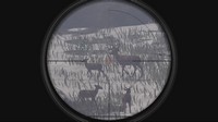 دانلود-بازی-Deer-Hunter-Reloaded